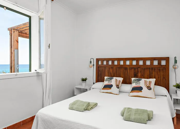 Mon Palau Sant Lluis